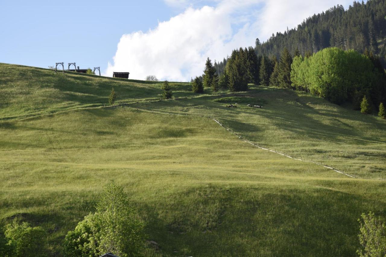 Foersterhaus Daire Holzgau Dış mekan fotoğraf